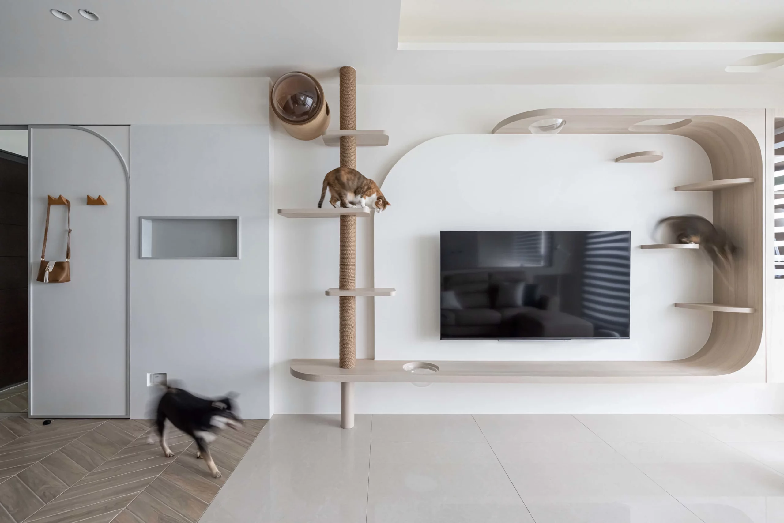 Pet friendly space